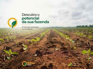Transformação ambiental e uso inteligente do solo