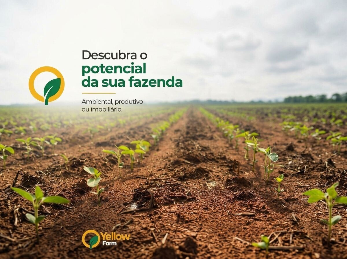 Como identificar se sua fazenda tem potencial ambiental, produtivo ou imobiliário escondido