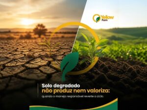 Transformação ambiental e uso inteligente do solo