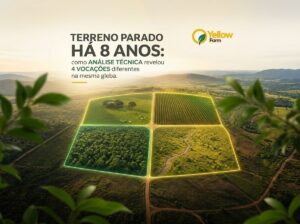 Gestão integrada de ativos territoriais