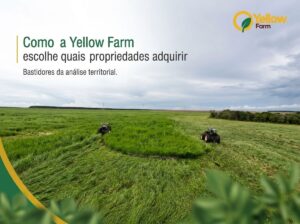 Yellow Farm - transformação ambiental e no desenvolvimento estratégico de ativos territoriais