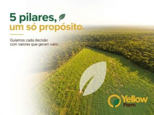 Yellow Farm - transformação ambiental e no desenvolvimento estratégico de ativos territoriais