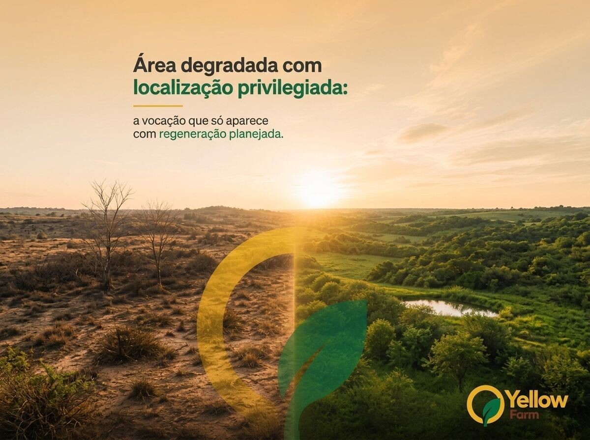 Aquisição de terras com vocação estratégica
