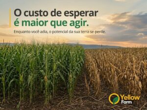 Yellow Farm - transformação ambiental e no desenvolvimento estratégico de ativos territoriais