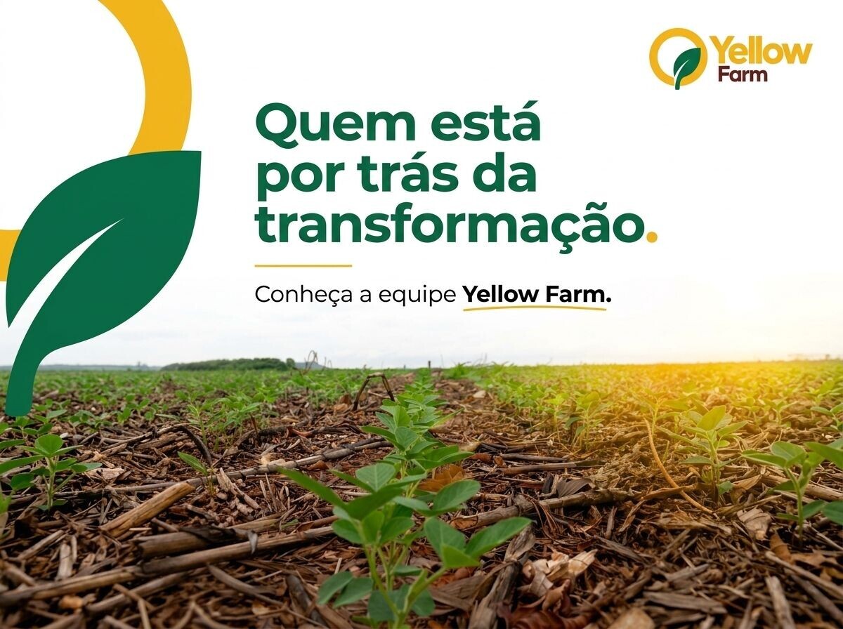 Yellow Farm - transformação ambiental e no desenvolvimento estratégico de ativos territoriais