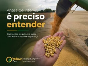 Transformação ambiental e uso inteligente do solo