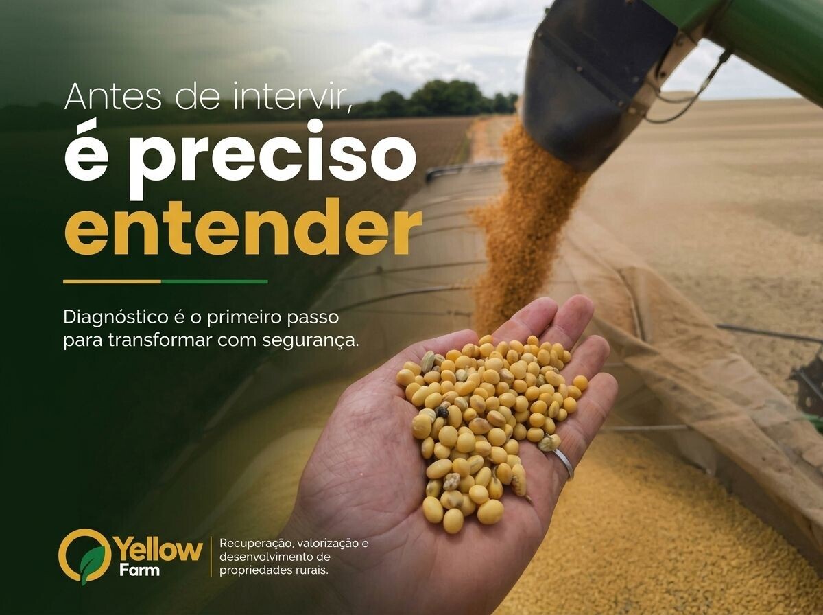 Transformação ambiental e uso inteligente do solo