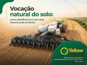 Yellow Farm - transformação ambiental e no desenvolvimento estratégico de ativos territoriais